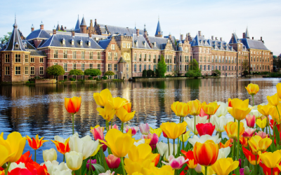 The Netherlands PEO Services