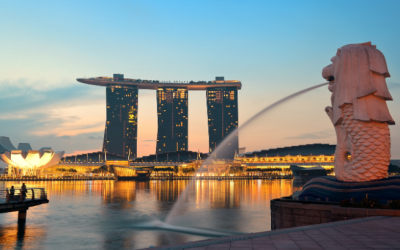 Singapore Entity Set up