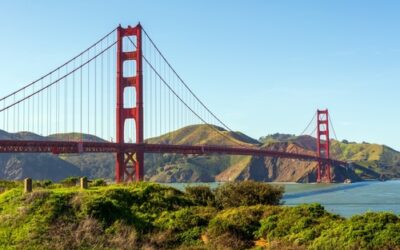 USA Employment Contracts