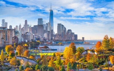 USA Payroll Services