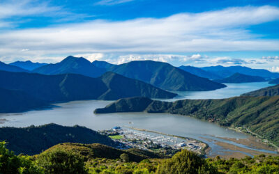 New Zealand Entity Setup