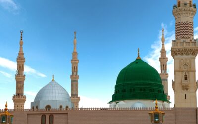 Saudization Support Services