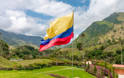 Colombian flag in the National Park