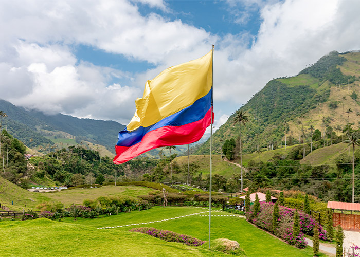 Colombian flag in the National Park