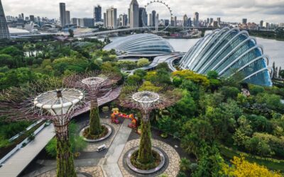 Aerial,View,To,Cloud,Forest,And,Flower,Dome,Illuminated,At